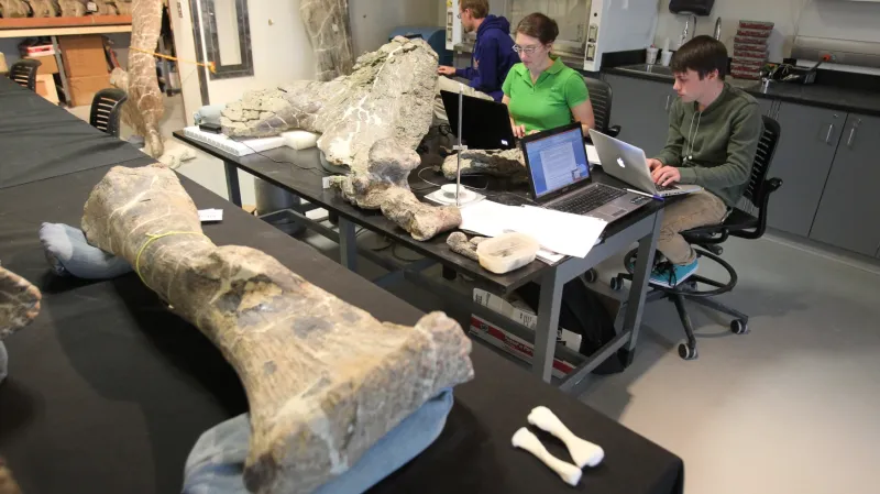 Dreadnoughtusovy kosti