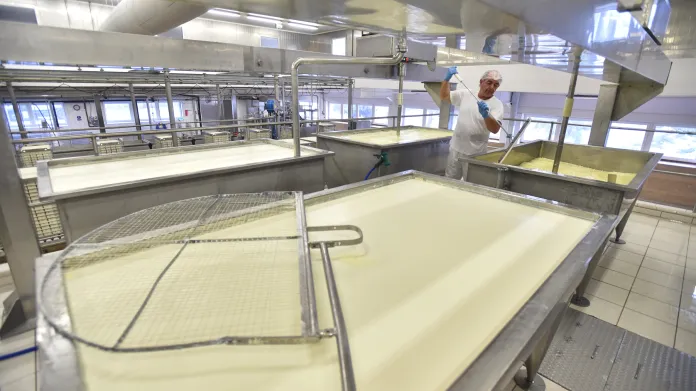 Výroba mlékárny Madety v závodě v Jindřichově Hradci