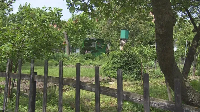 Zahrádkářská kolonie je na Kraví Hoře již od třicátých let dvacátého století