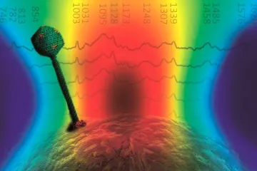 Vědci v Brně našli způsob, jak rychleji zjistit účinnost bakteriofágů při léčbě infekce