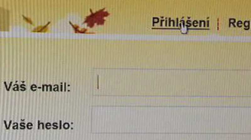 Ekonomika ČT24 o doménách