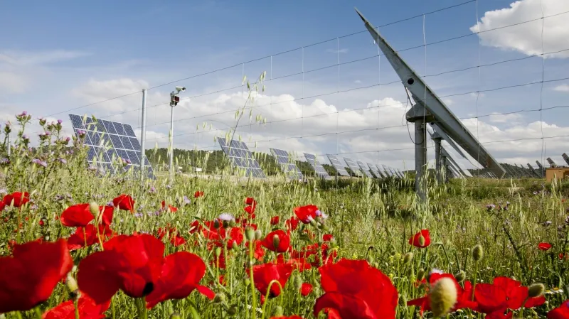 Solární elektrárna