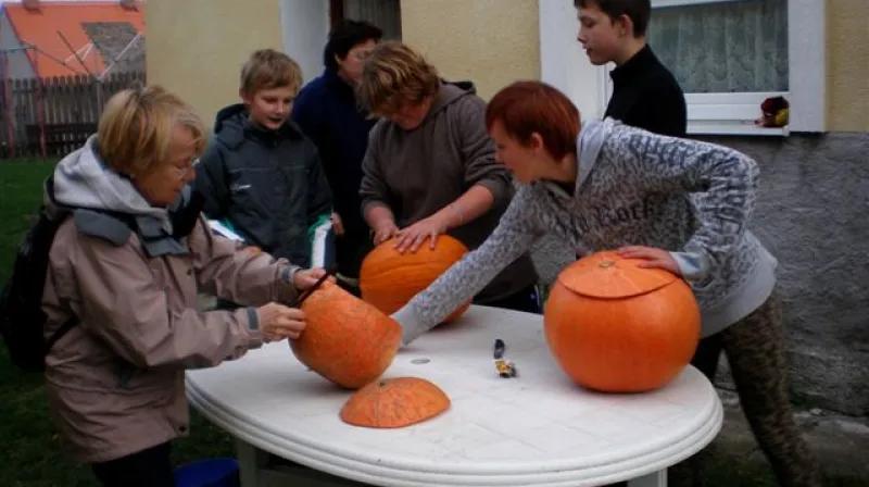 Přípravy dýní