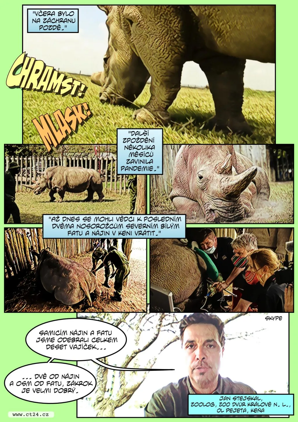 Nosorožci