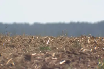 Vydatné deště zmírnily sucho, hladina podzemních vod však zůstává pod normálem