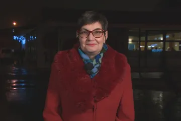 Drahé Česko: Je možné péct cukroví levněji a zdravěji?