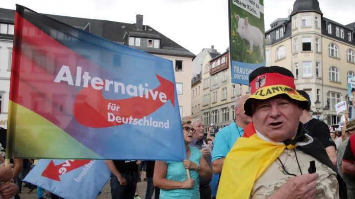 Protest AfD