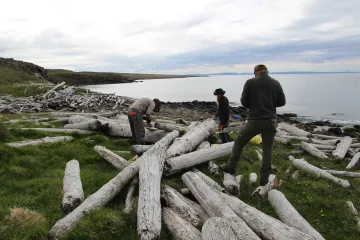 Brněnští vědci zkoumají proměnu oceánských proudů. Pomocí dřeva naplaveného na Island