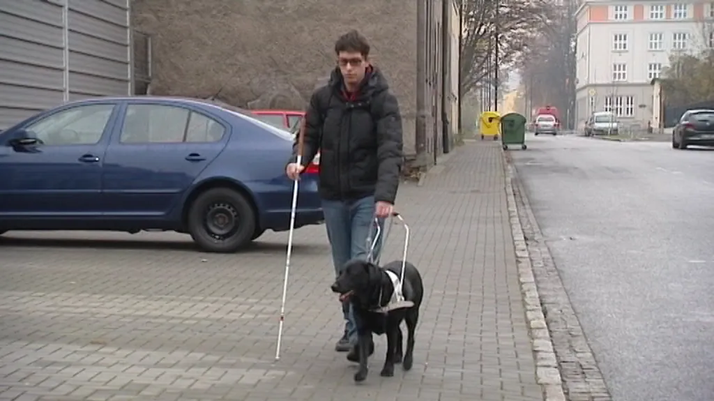 Mezinárodní den nevidomých