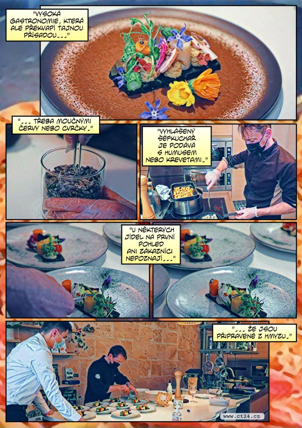 Hmyz jako potrava budoucnosti? S podobnými ingrediencemi experimentuje stále více kuchařů