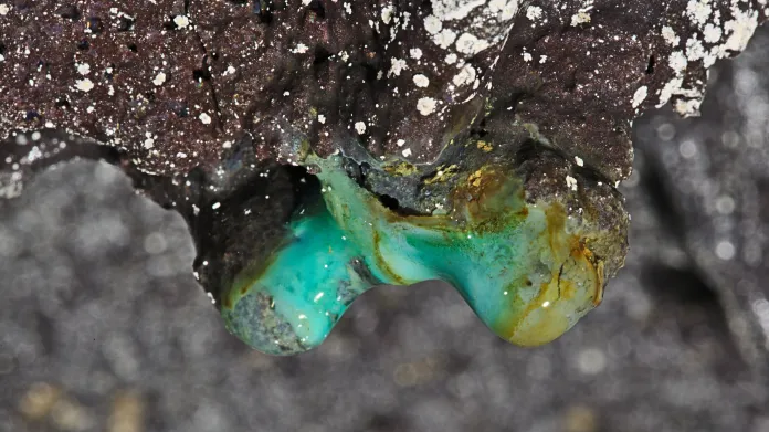 Krápníkový útvar v havajském jeskynním systému se zelenými měděnými minerály a bílými mikrobiálními koloniemi