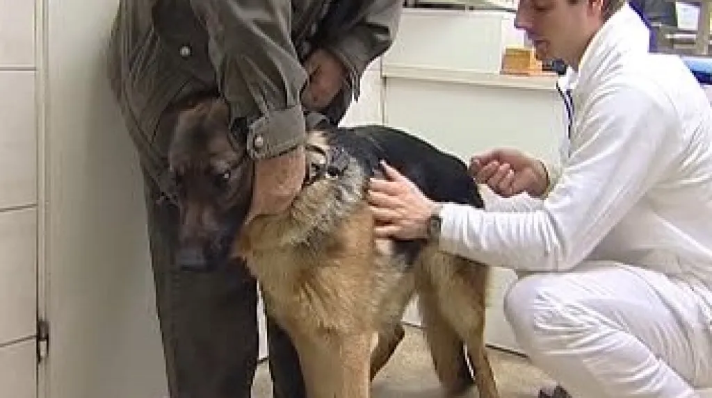 Veterinární ordinace