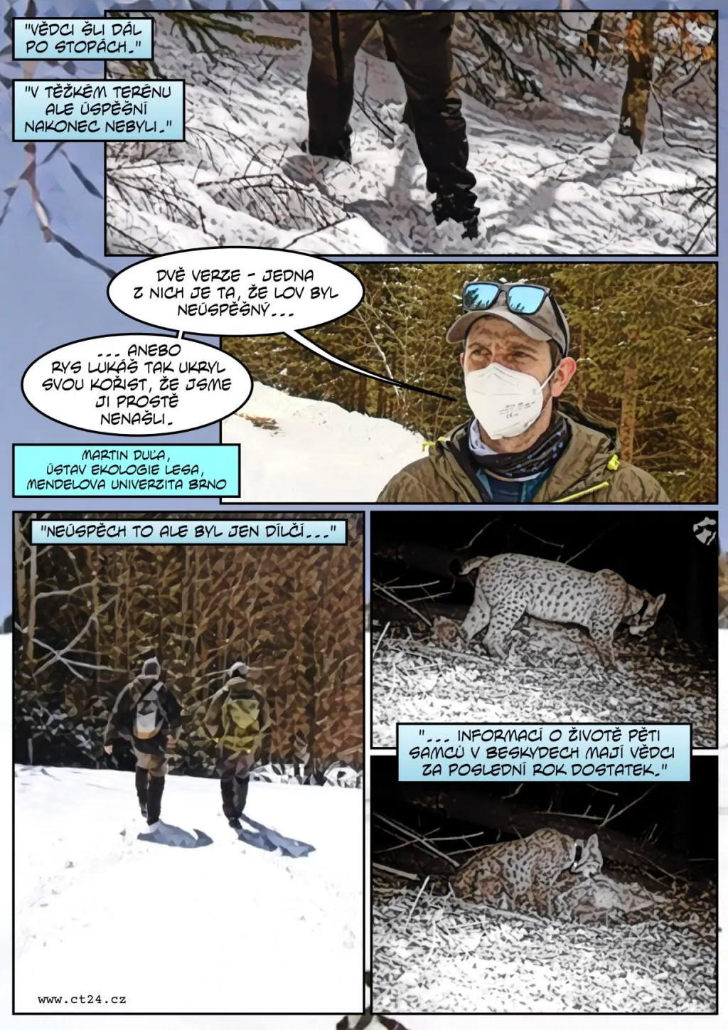 Rys ostrovid v Beskydech