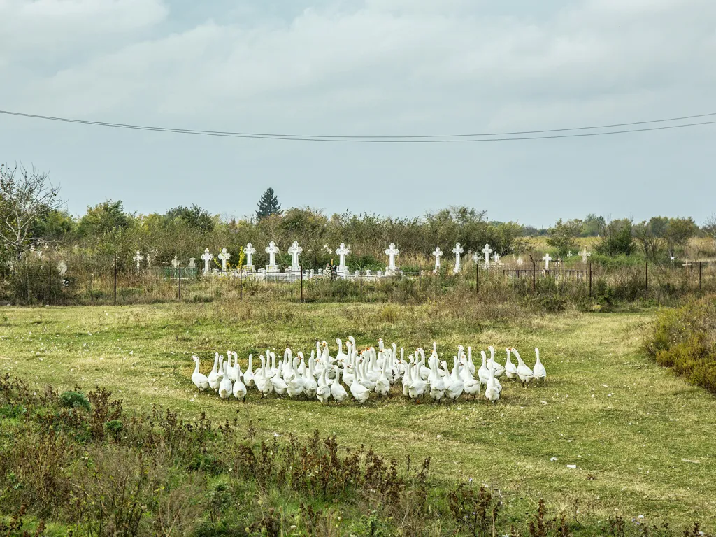 Nominace na vítěznou sérii Czech Press Photo 2018 (Každodenní život): Delta Dunaje