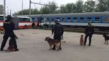 Policisté se psy dohlížejí na příjezd fanoušků Baníku na nádraží v brněnské Slatině