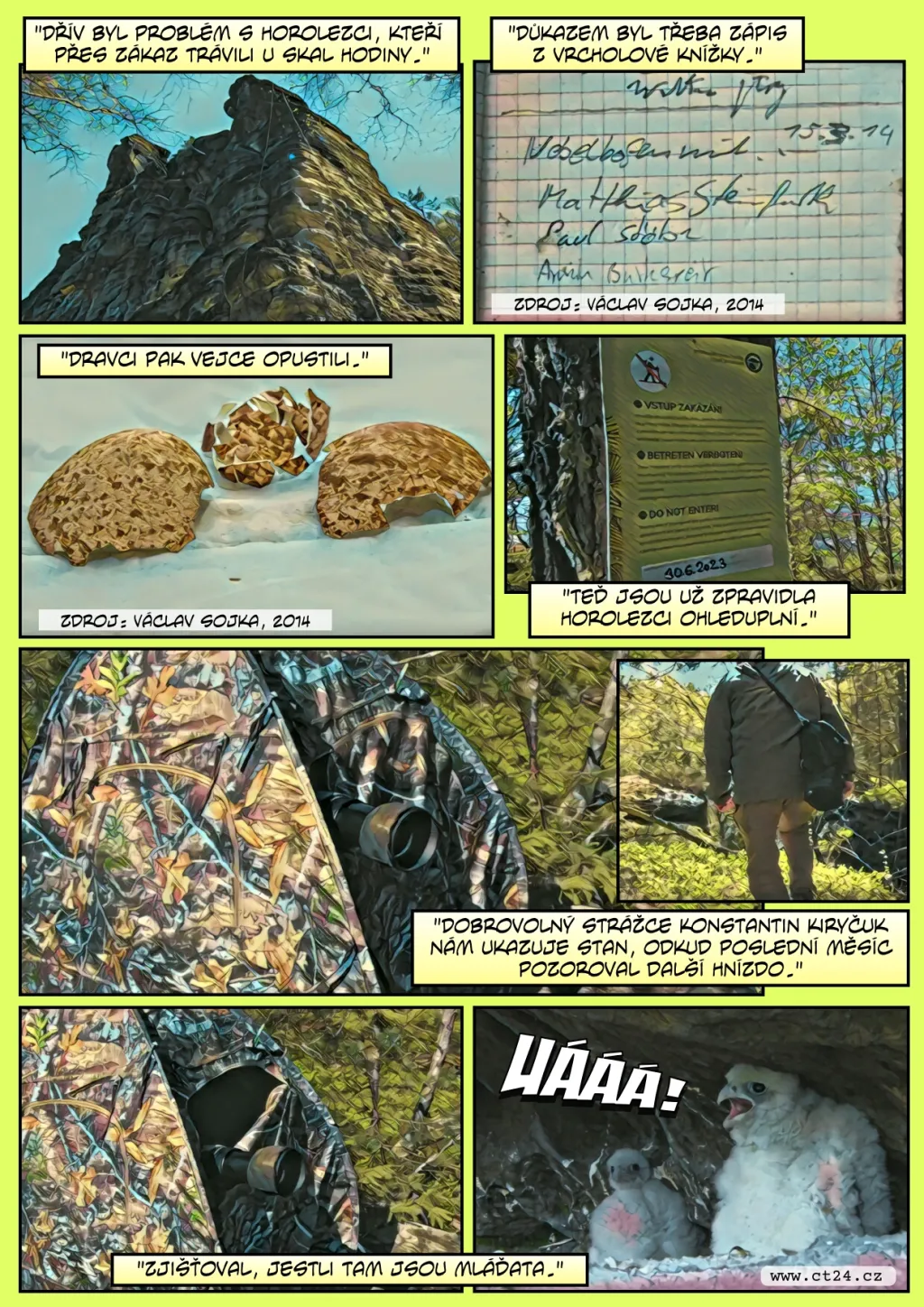 Kroužkování malých sokolů