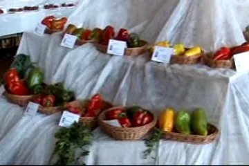 Výstava ovoce a zeleniny v Třebíči