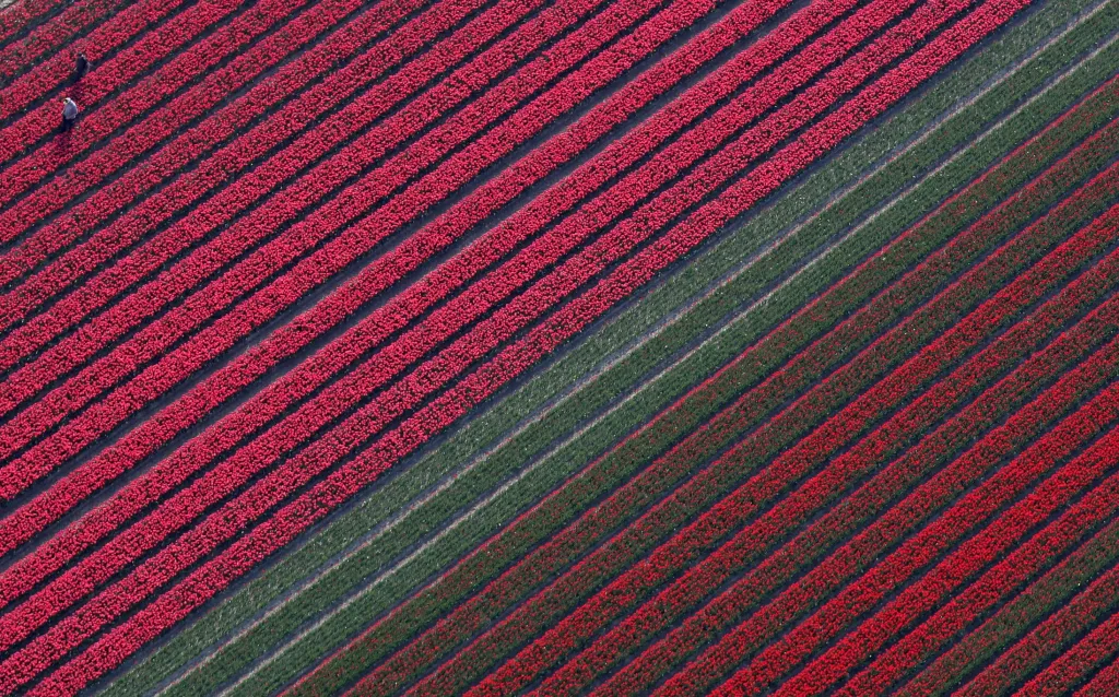 Nejlepší fotky z dronů za rok 2019 podle Reuters