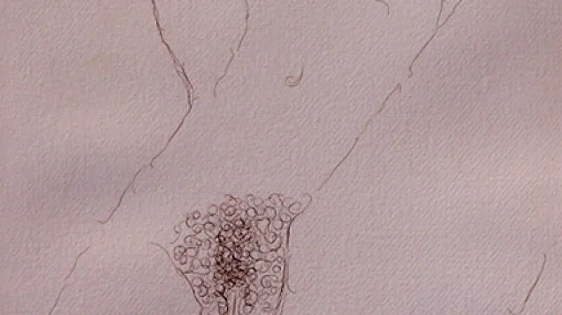 Alena Kupčíková / Chlupatice