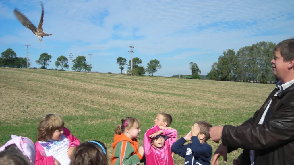 Vypouštění uzdravené poštolky