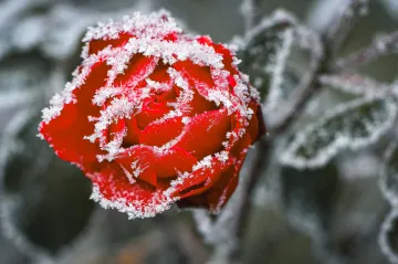 Desetina stanic ohlásila rekordně nízké teploty