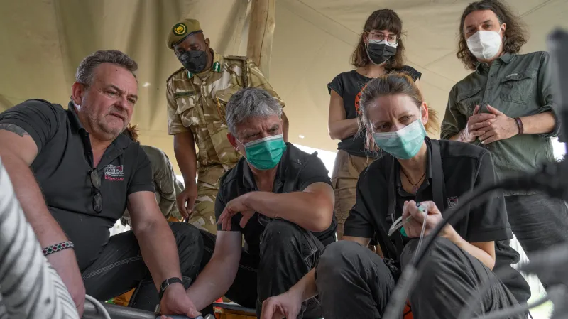 Experti při odběru vajíček