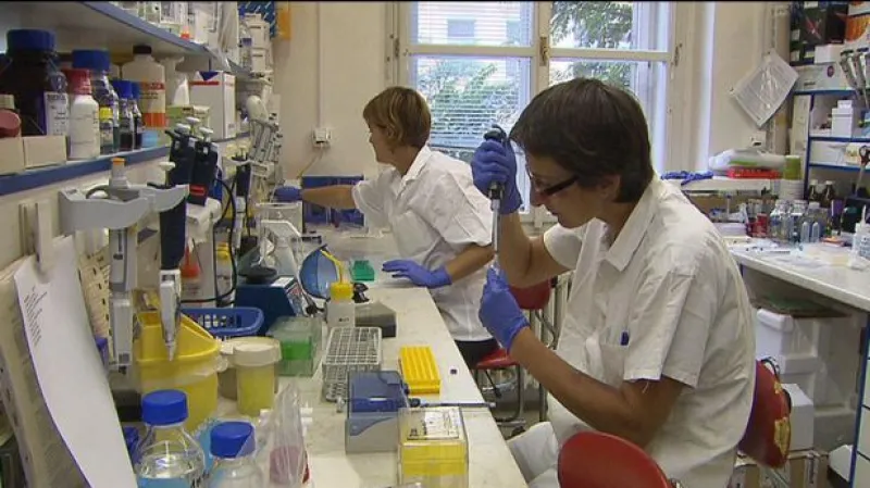 Reportáž Markéty Šenkýřové