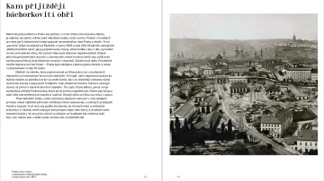 Z knihy Praha za císaře pána