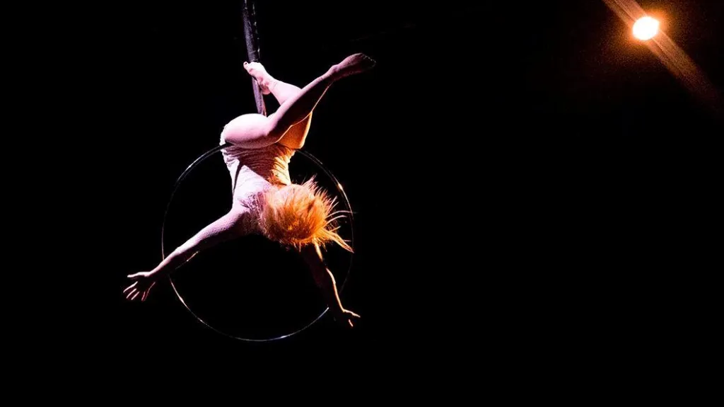 Circo Aereo / Opaque