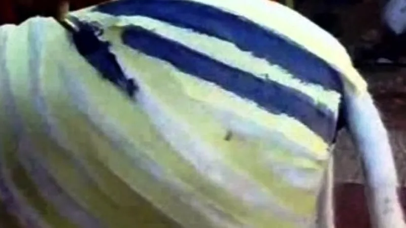 V Gaze dělají z oslů zebry