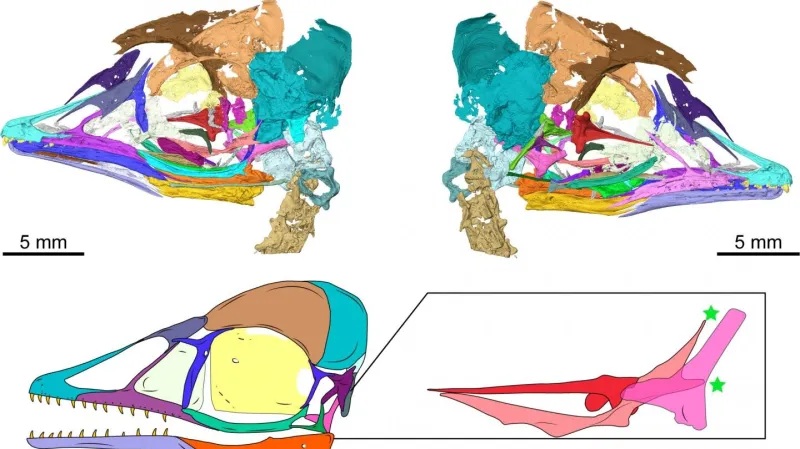 Lebka pravěkého ptáka
