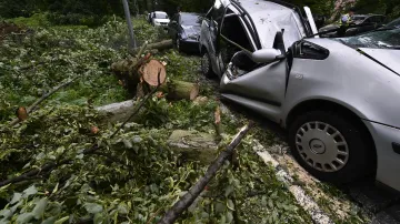 Stromy popadané při bouři v noci na 30. června poškodily několik automobilů zaparkovaných v jihlavské ulici Na Kopci