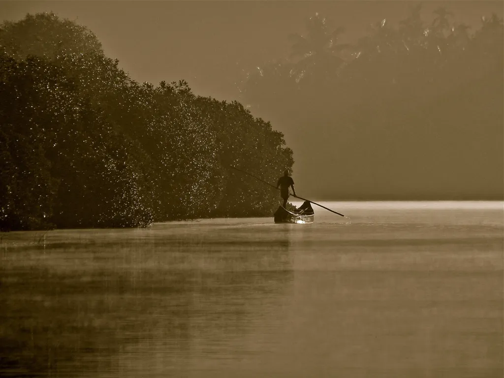 Vítězná fotografie v kategorii Lidé a příroda. Hodnota mangrovníkových ekosystémů pro místní komunity a zvláště pro tradiční rybáře po celém světě je dobře známa. Snímek byl pořízen v brzkých ranních hodinách.