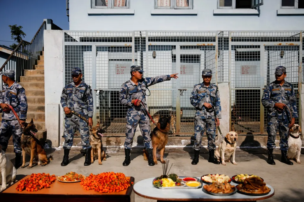 Přehlídka umění psů nepálské policie během hinduistického svátku Tihar v Bhaktapuru