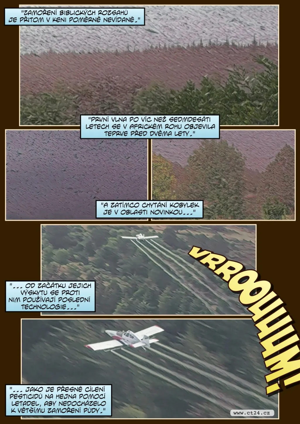 Farmáři v Keni bojují s invazí sarančat