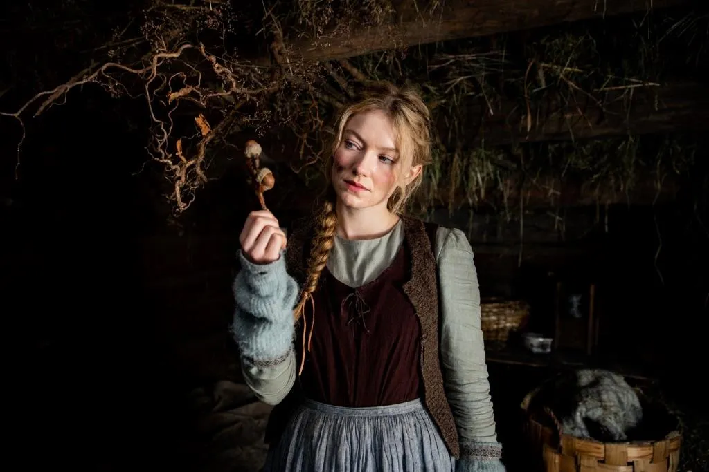 23. prosince – do českých kin vstoupil norský remake Tří oříšků pro Popelku