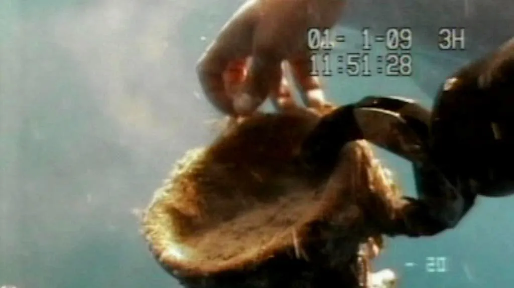 Amfora nalezená ve vraku italské lodi