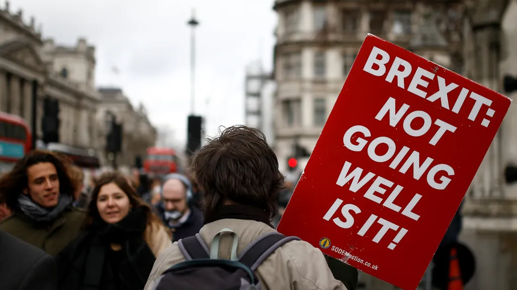 Odpůrci brexitu protestují v Londýně před budovou parlamentu