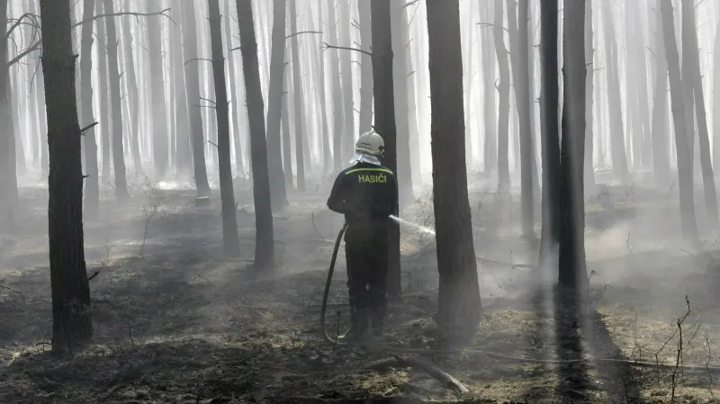 Požár na Hodonínsku