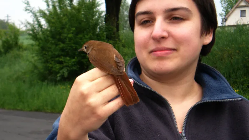 Z Vítání ptačího zpěvu