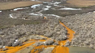 Aljašské řeky se mění – stávají se oranžovějšími