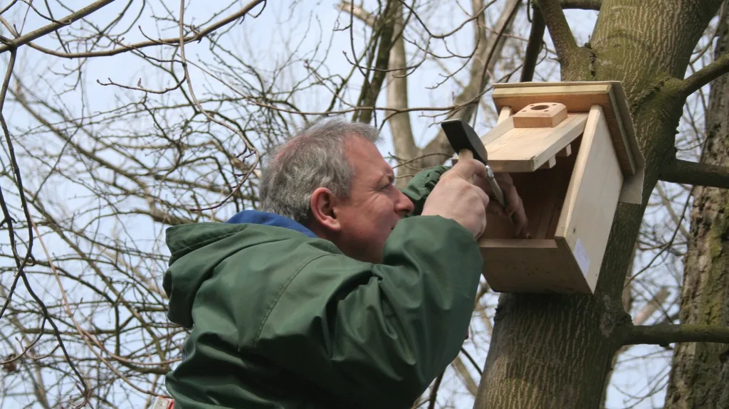 Přibíjení ptačích budek