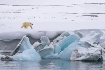 Léta na severním pólu budou podle vědců do roku 2050 bez ledu
