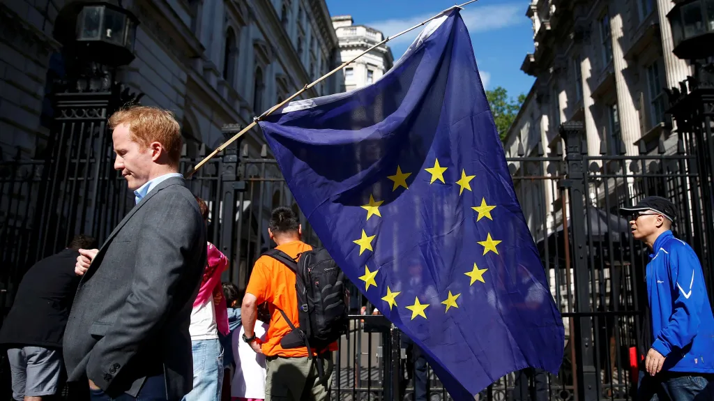 Zastánce EU v ulicích Londýna