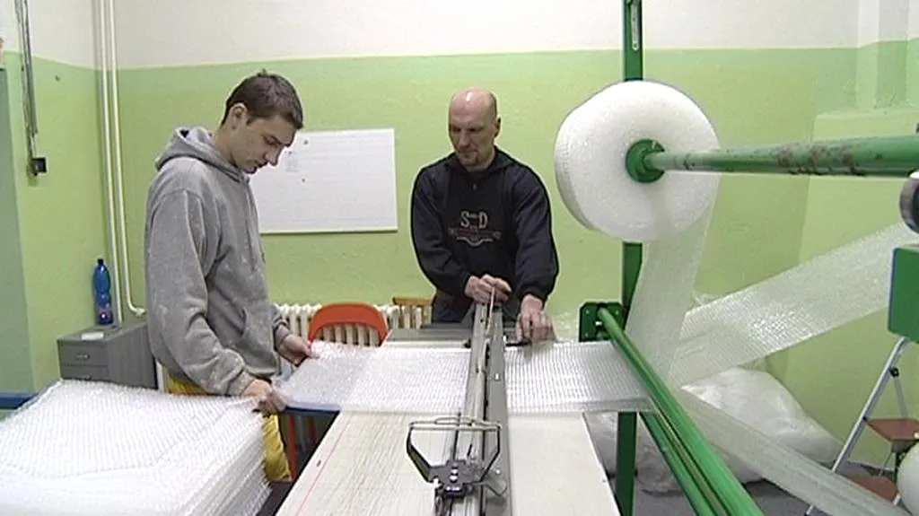 Zaměstnanci v chráněné dílně