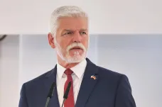Jednání s německým prezidentem potvrdilo nadstandardní úroveň vztahů, řekl Pavel