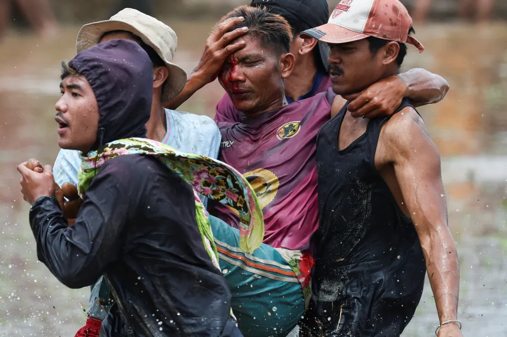 Nevypočitatelné chování zvířat často způsobí pád jezdce do bahna, které pole pokrývá. Zranění jsou poměrně běžná
