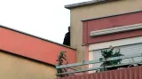 Útok na školku ve Francii