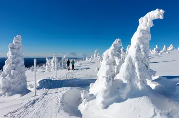 Únor byl podle předběžných součtů teplotně normální. Sněžit v nížinách může i v březnu