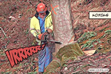 Stezky v Hřensku jsou od požáru stále uzavřené